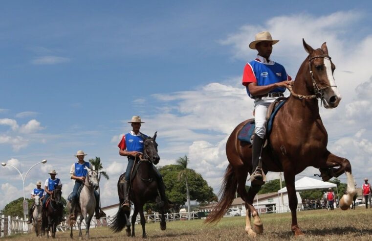 Exposição do Mangalarga Marchador movimenta a programação da Expomontes 2025