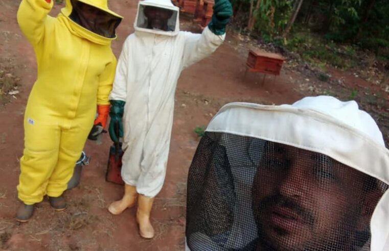 Em poucos meses, apicultores evoluem técnicas e garantem mais renda