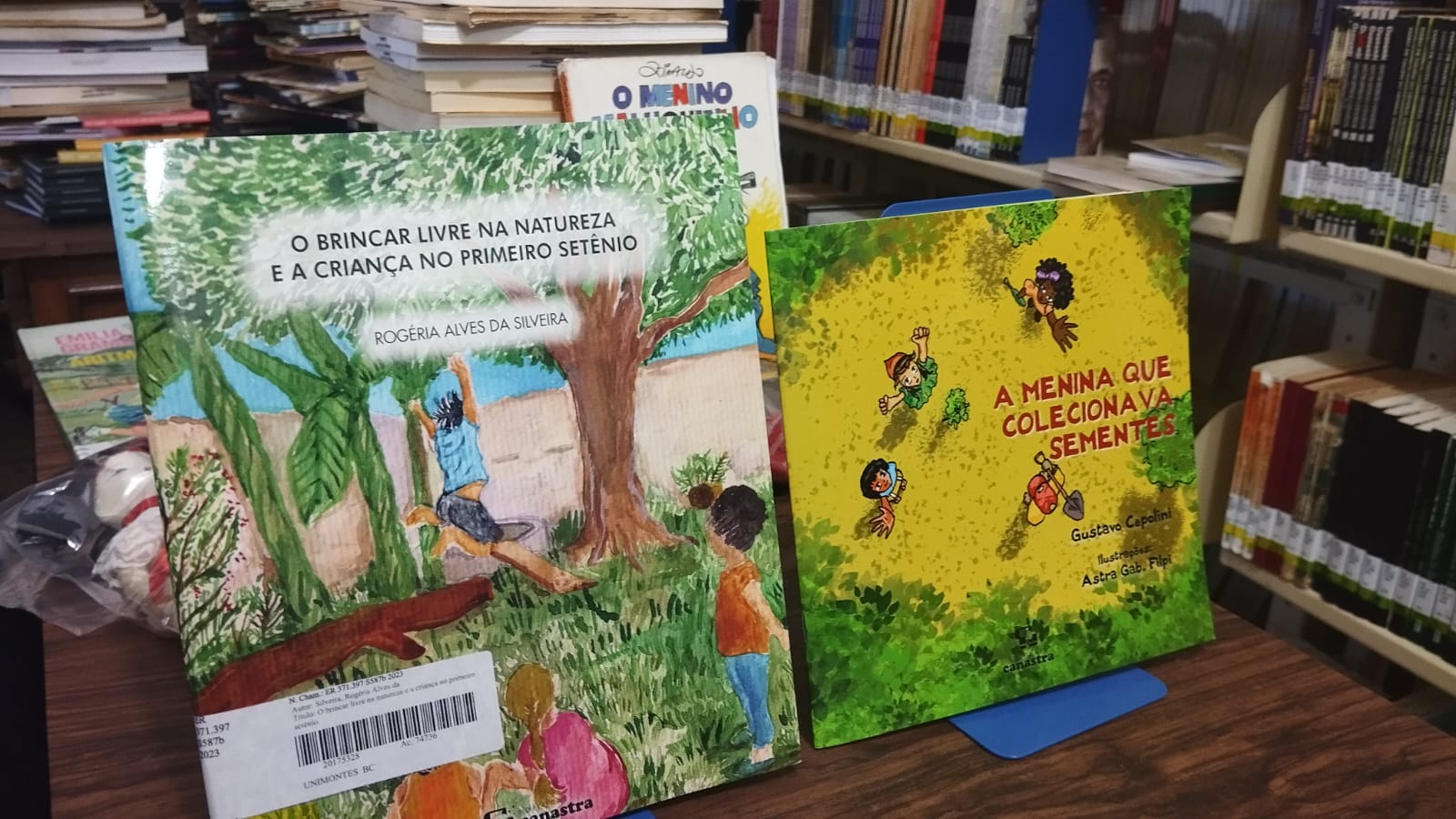 Biblioteca da Unimontes celebra o Dia Nacional do Livro Infantil com homenagem a escritores locais