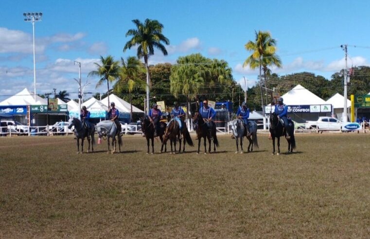 EXPOSIÇÃO DO MANGALARGA MARCHADOR SUPERA EXPECTATIVA E CHEGA A 161 ANIMAIS INSCRITOS EM MONTES CLAROS