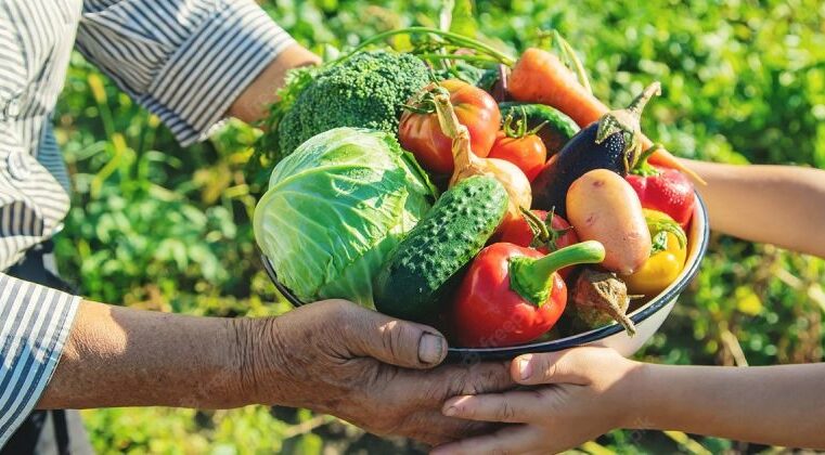 Licitação aberta para adquirir gêneros alimentícios da agricultura familiar