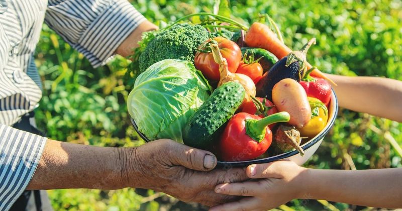 Licitação aberta para adquirir gêneros alimentícios da agricultura familiar