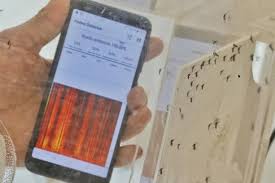 Unimontes desenvolve projeto que agiliza combate ao Aedes aegypti com o uso de inteligência artificial