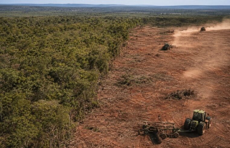 Operação investiga desmatamento do Norte