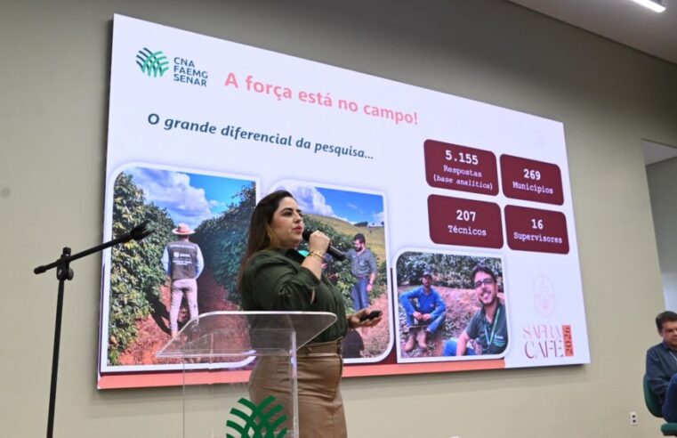 Safra de café em Minas Gerais deve alcançar 33,4 milhões de sacas em 2026