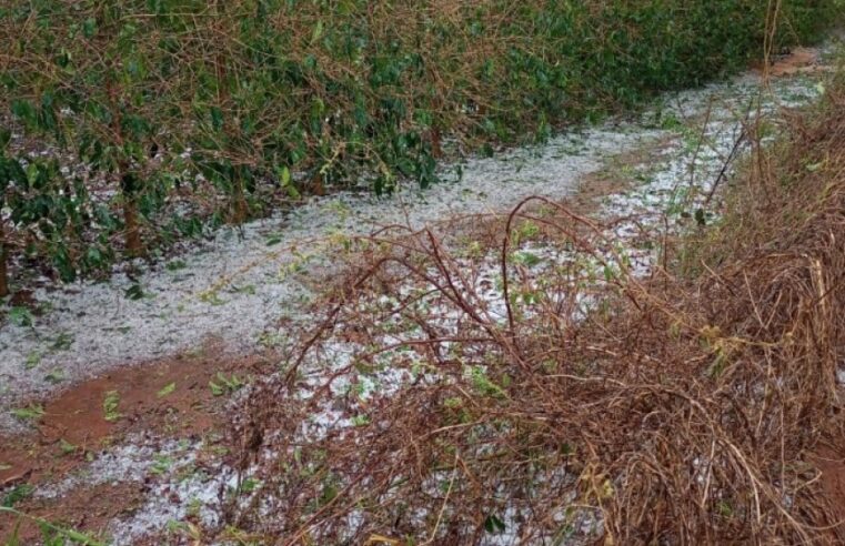 Prejuízos por chuva e granizo: veja o que o produtor deve fazer para comprovar perdas