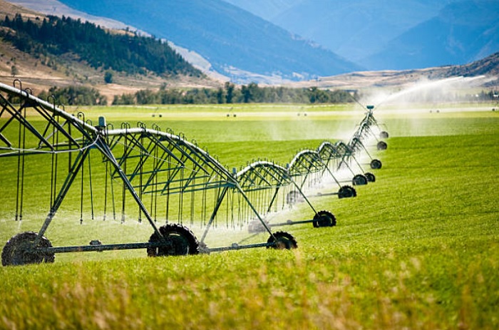 Irrigação inteligente no campo é caminho para aumento da produtividade agrícola
