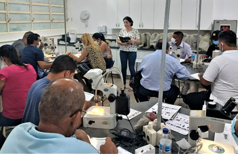 Fiocruz atualiza profissionais para identificar vetores da doença de chagas