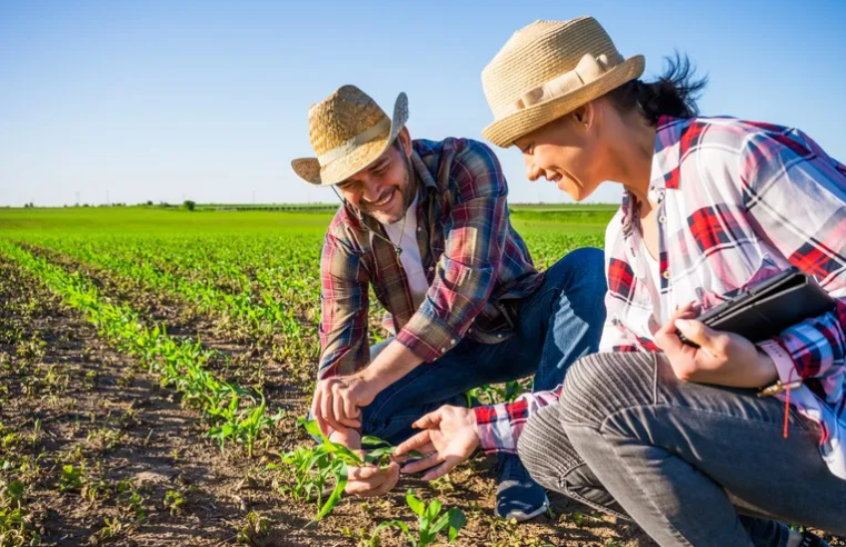 MG direciona mais de R$ 5 mi para apoio agricultores familiares do semiárido