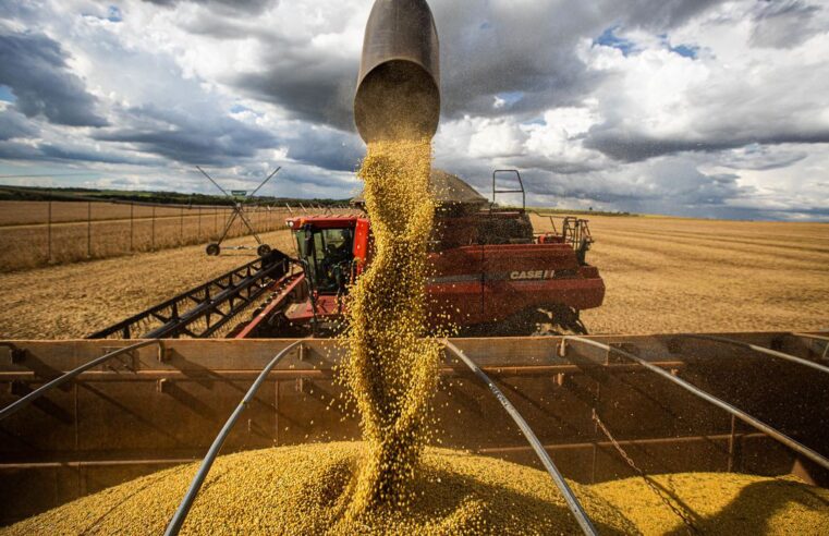 Comércio exterior do agronegócio tem saldo de US$ 9,3 bi em fevereiro