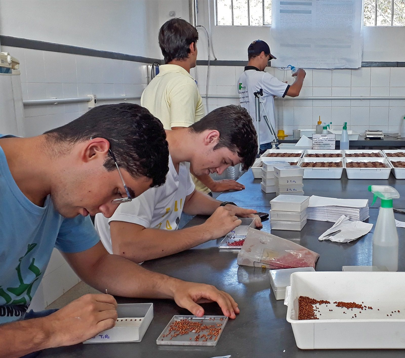 Unimontes oferece 30 vagas para curso técnico em fruticultura, em Janaúba