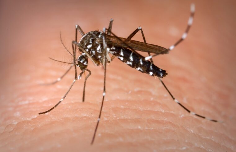 Pirapora chega a 118 casos notificados de dengue neste ano