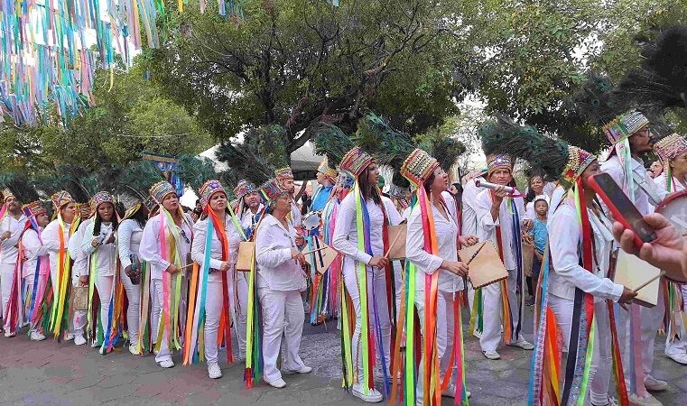 Vereadores pedem ajuda para assegurar catopês no Carnaval do Rio de Janeiro