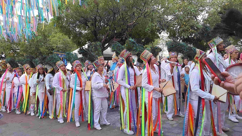 Vereadores pedem ajuda para assegurar catopês no Carnaval do Rio de Janeiro