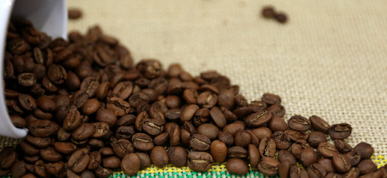 BDMG libera crédito de R$ 60 mi para o setor do café na Safra 2023/2024