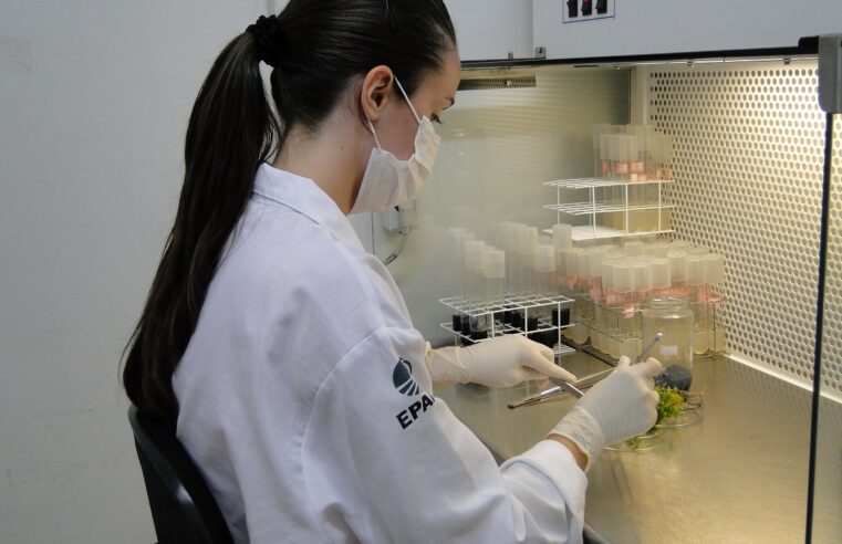 Epamig inaugura Programa Especial de pesquisa em biotecnologia