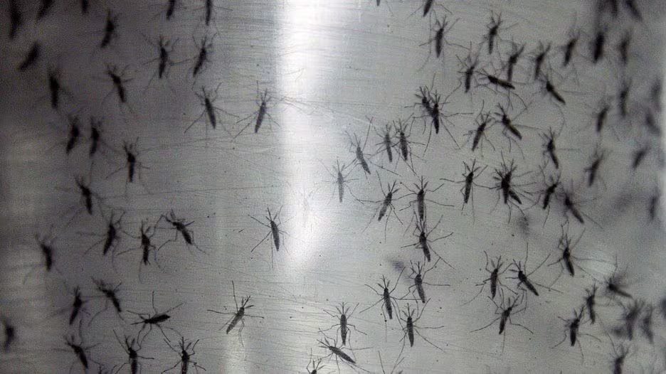 Montes Claros ultrapassa 1 mil casos de dengue