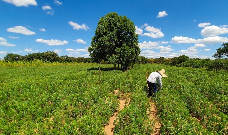 Governo de Minas promove capacitação sobre o Programa Garantia-Safra