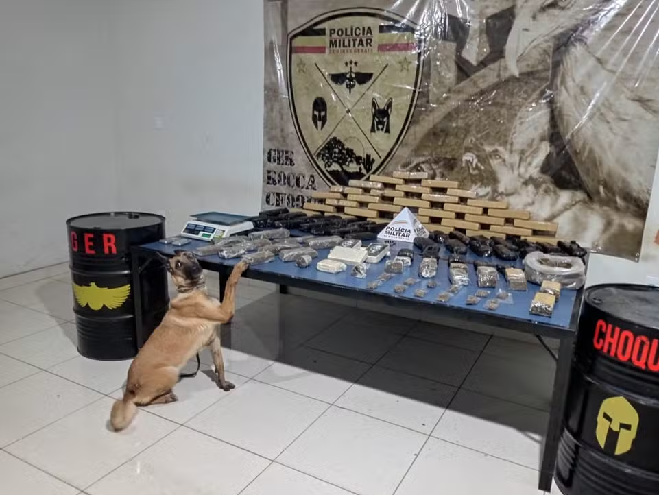 Polícia apreende mais de 80 barras de maconha, cocaína e haxixe em Montes Claros