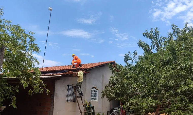 Bombeiros resgata macaco em cima casa na zona rural de Itacarambi