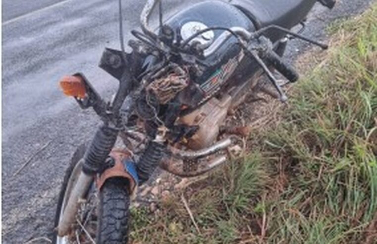Motociclistas morrem e passageiro fica ferido em colisão contra cavalo, na MG-208