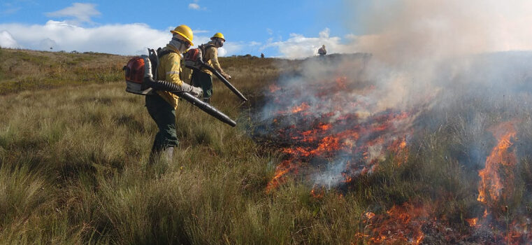 Força-tarefa divulga balanço do combate a incêndios florestais