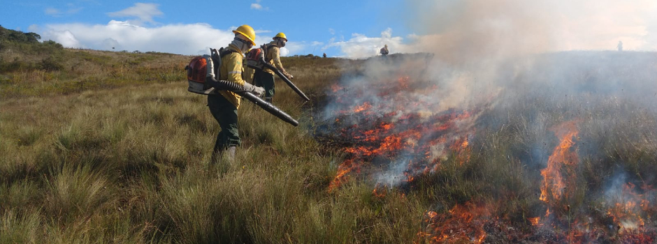 Força-tarefa divulga balanço do combate a incêndios florestais