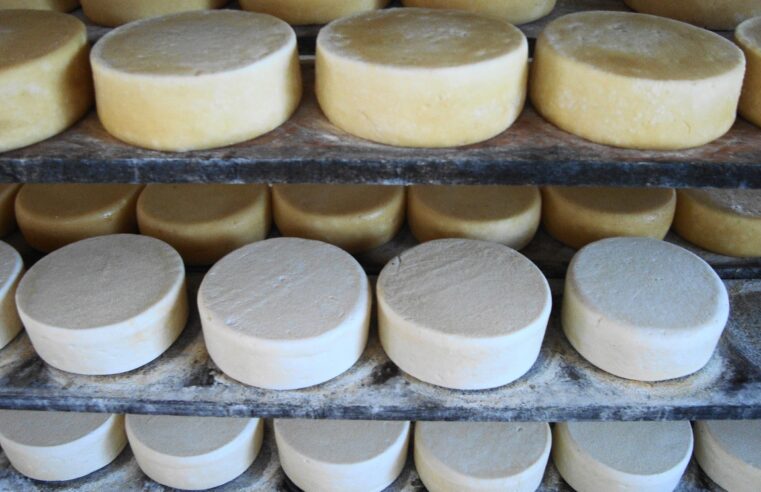 Epamig é parceira da CNA em concurso que vai eleger os melhores queijos artesanais do Brasil