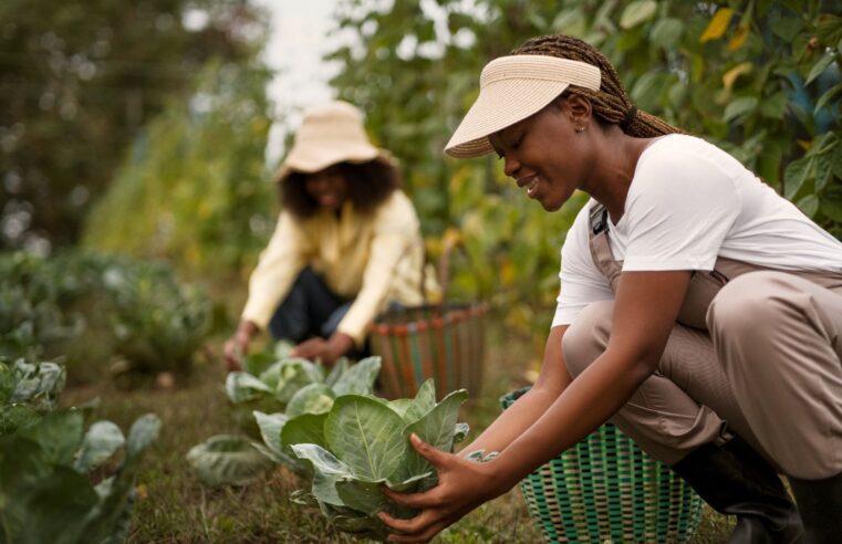 Circuito da Mulher Rural fortalece protagonismo feminino na Comunidade Rural do Pernambuco